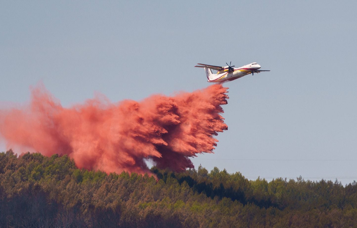 El incendio avanza a “altísima velocidad”, más de 1.700 hectáreas cubiertas El incendio avanza a “altísima velocidad”, más de 1.700 hectáreas cubiertas